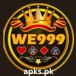 WE999 Game