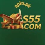 S55 Game