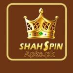 ShahSpin Game