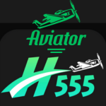 H555 Game